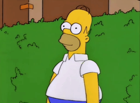 Homer